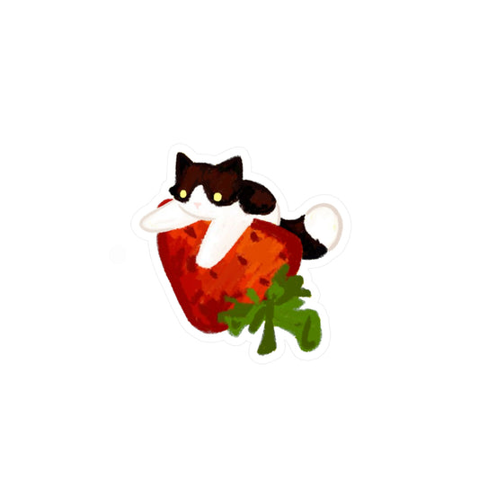 black and white cat on strawberry sticker